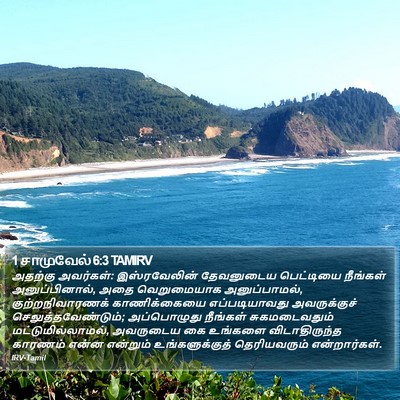 1 சாமுவேல் 6:3 TAMIRV Bible Verse Image