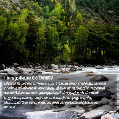 1 சாமுவேல் 6:8 TAMIRV Bible Verse Image