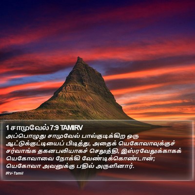 1 சாமுவேல் 7:9 TAMIRV Bible Verse Image