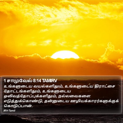 1 சாமுவேல் 8:14 TAMIRV Bible Verse Image