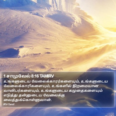 1 சாமுவேல் 8:16 TAMIRV Bible Verse Image