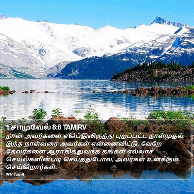1 சாமுவேல் 8:8 TAMIRV Bible Verse Image