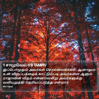 1 சாமுவேல் 8:9 TAMIRV Bible Verse Image