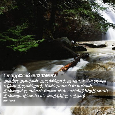 1 சாமுவேல் 9:12 TAMIRV Bible Verse Image