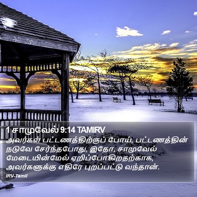 1 சாமுவேல் 9:14 TAMIRV Bible Verse Image