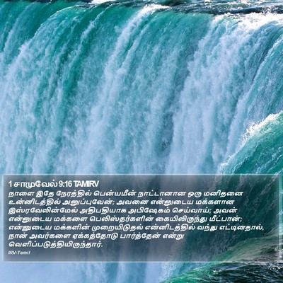 1 சாமுவேல் 9:16 TAMIRV Bible Verse Image