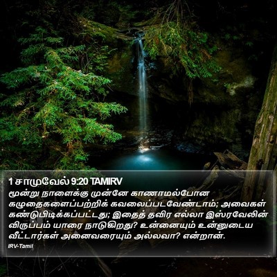 1 சாமுவேல் 9:20 TAMIRV Bible Verse Image