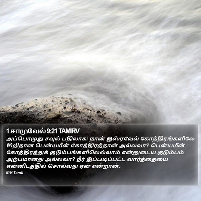 1 சாமுவேல் 9:21 TAMIRV Bible Verse Image