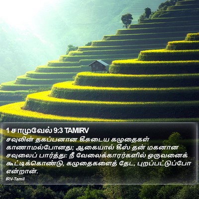 1 சாமுவேல் 9:3 TAMIRV Bible Verse Image