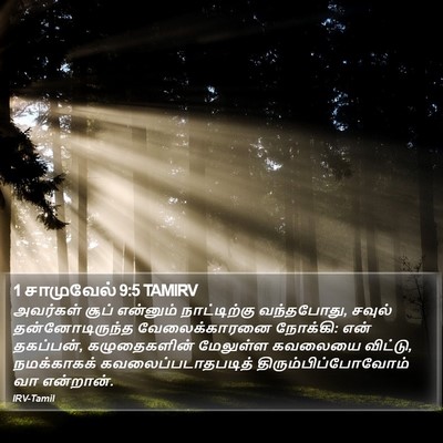 1 சாமுவேல் 9:5 TAMIRV Bible Verse Image