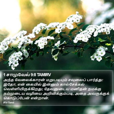 1 சாமுவேல் 9:8 TAMIRV Bible Verse Image