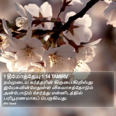 1 தீமோத்தேயு 1:14 TAMIRV Bible Verse Image
