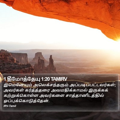 1 தீமோத்தேயு 1:20 TAMIRV Bible Verse Image