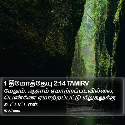 1 தீமோத்தேயு 2:14 TAMIRV Bible Verse Image