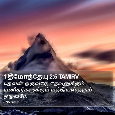 1 தீமோத்தேயு 2:5 TAMIRV Bible Verse Image