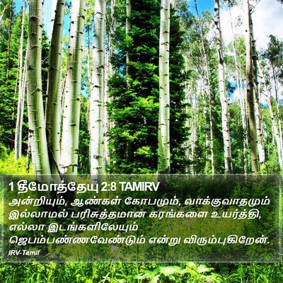 1 தீமோத்தேயு 2:8 TAMIRV Bible Verse Image