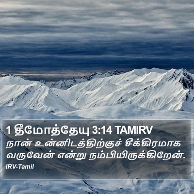 1 தீமோத்தேயு 3:14 TAMIRV Bible Verse Image