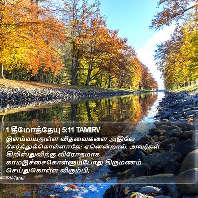 1 தீமோத்தேயு 5:11 TAMIRV Bible Verse Image