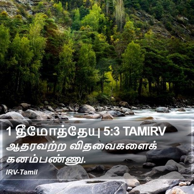 1 தீமோத்தேயு 5:3 TAMIRV Bible Verse Image