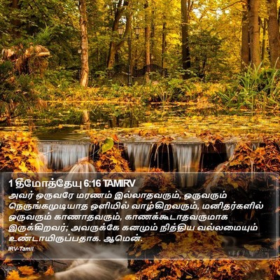 1 தீமோத்தேயு 6:16 TAMIRV Bible Verse Image
