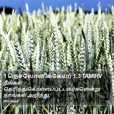 1 தெசலோனிக்கேயர் 1:3 TAMIRV Bible Verse Image