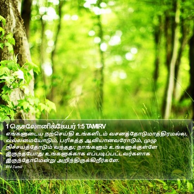 1 தெசலோனிக்கேயர் 1:5 TAMIRV Bible Verse Image