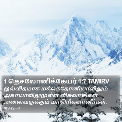 1 தெசலோனிக்கேயர் 1:7 TAMIRV Bible Verse Image