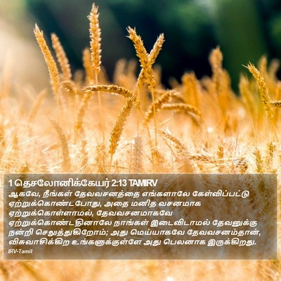 1 தெசலோனிக்கேயர் 2:13 TAMIRV Bible Verse Image