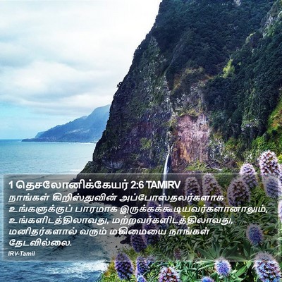 1 தெசலோனிக்கேயர் 2:6 TAMIRV Bible Verse Image