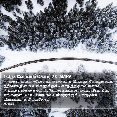 1 தெசலோனிக்கேயர் 2:8 TAMIRV Bible Verse Image