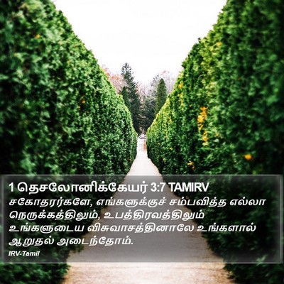 1 தெசலோனிக்கேயர் 3:7 TAMIRV Bible Verse Image