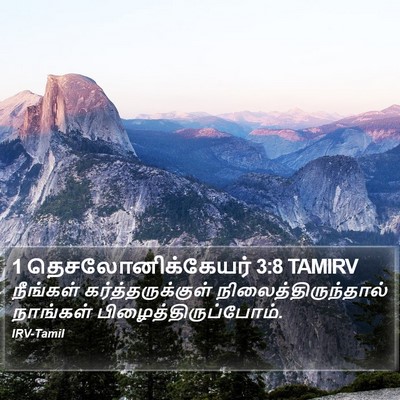 1 தெசலோனிக்கேயர் 3:8 TAMIRV Bible Verse Image