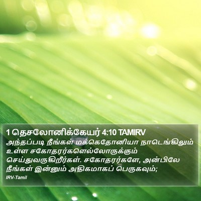 1 தெசலோனிக்கேயர் 4:10 TAMIRV Bible Verse Image