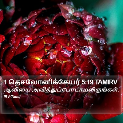 1 தெசலோனிக்கேயர் 5:19 TAMIRV Bible Verse Image