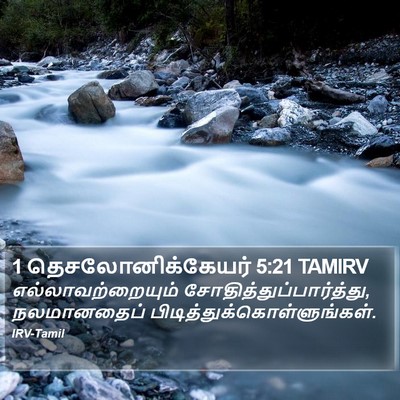 1 தெசலோனிக்கேயர் 5:21 TAMIRV Bible Verse Image