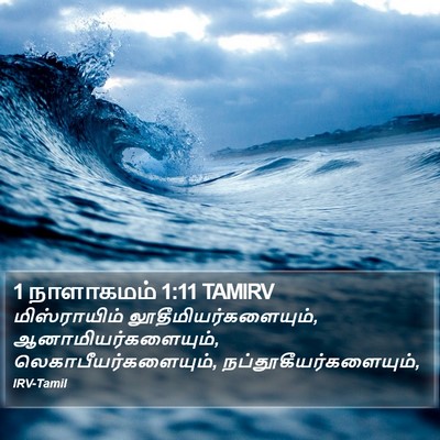 1 நாளாகமம் 1:11 TAMIRV Bible Verse Image