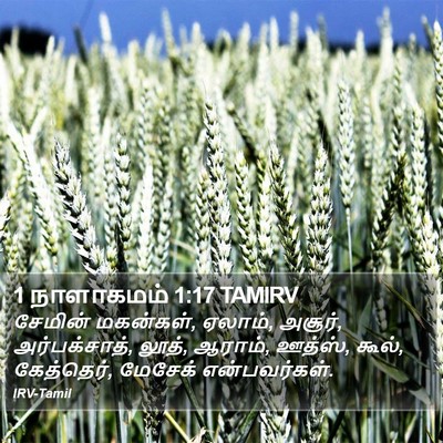 1 நாளாகமம் 1:17 TAMIRV Bible Verse Image