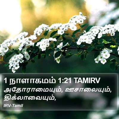 1 நாளாகமம் 1:21 TAMIRV Bible Verse Image