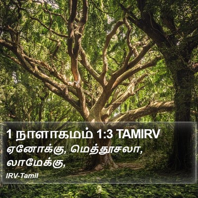 1 நாளாகமம் 1:3 TAMIRV Bible Verse Image