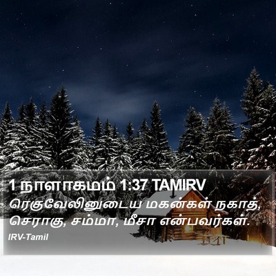 1 நாளாகமம் 1:37 TAMIRV Bible Verse Image