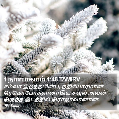 1 நாளாகமம் 1:48 TAMIRV Bible Verse Image