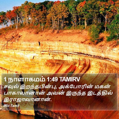 1 நாளாகமம் 1:49 TAMIRV Bible Verse Image