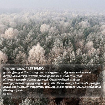 1 நாளாகமம் 11:19 TAMIRV Bible Verse Image