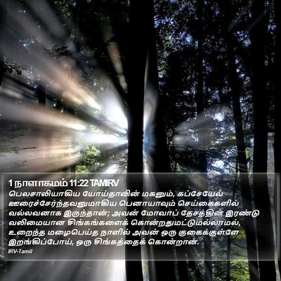 1 நாளாகமம் 11:22 TAMIRV Bible Verse Image