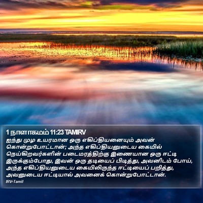 1 நாளாகமம் 11:23 TAMIRV Bible Verse Image