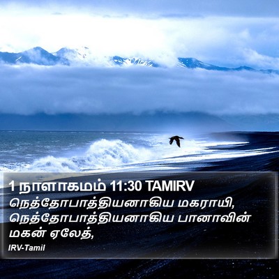 1 நாளாகமம் 11:30 TAMIRV Bible Verse Image