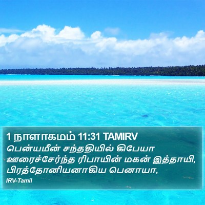 1 நாளாகமம் 11:31 TAMIRV Bible Verse Image