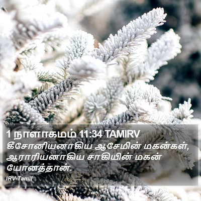 1 நாளாகமம் 11:34 TAMIRV Bible Verse Image