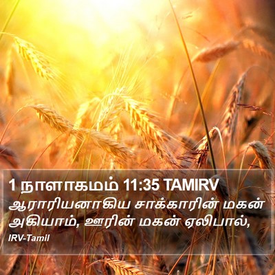 1 நாளாகமம் 11:35 TAMIRV Bible Verse Image