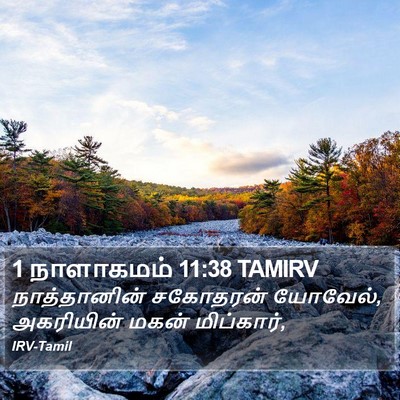 1 நாளாகமம் 11:38 TAMIRV Bible Verse Image